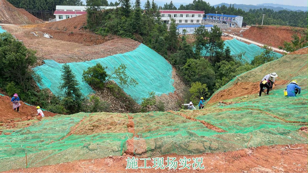 生態(tài)修復(fù)、邊坡復(fù)綠