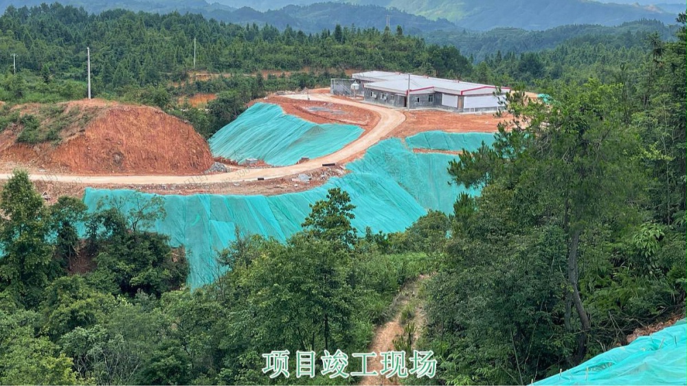 生態(tài)修復(fù)、邊坡復(fù)綠