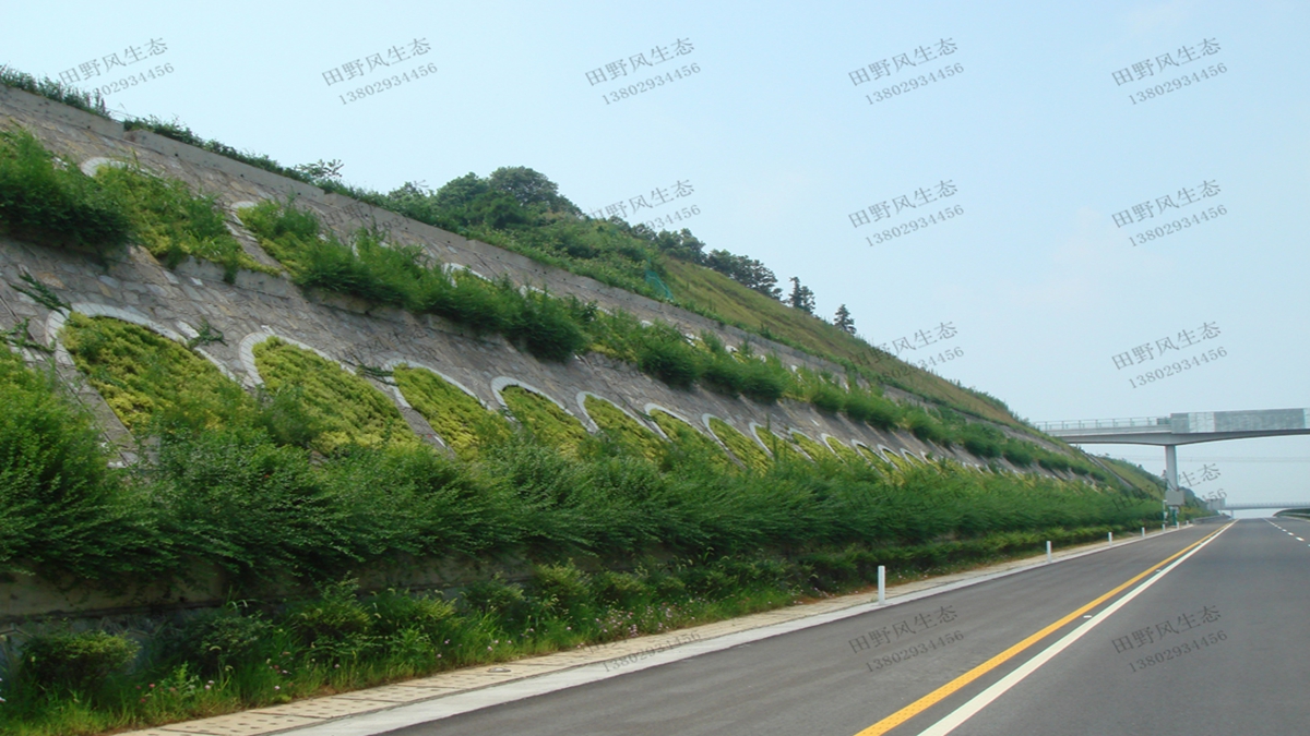 高速公路邊坡綠化有哪些綠化方式？