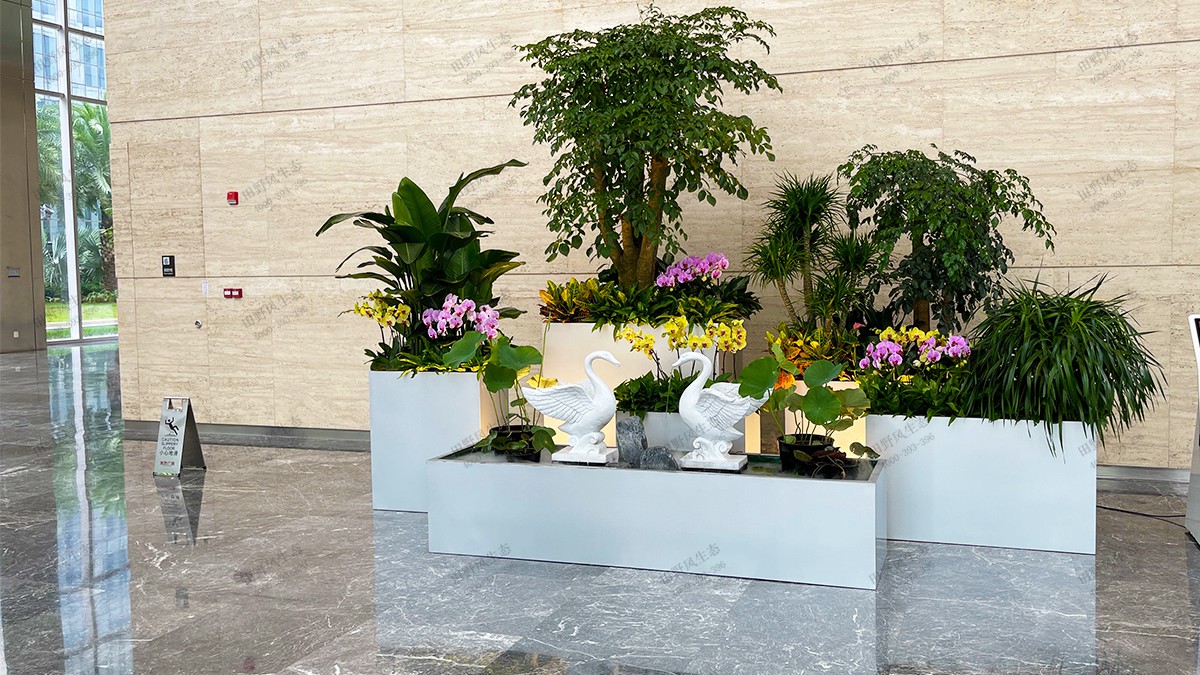 寫(xiě)字樓綠植租擺