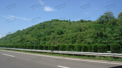 邊坡綠化植被該如何選擇？