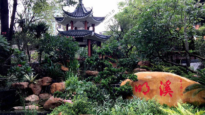 廣州文化公園花草養(yǎng)護(hù)案例 廣州文化公園花草養(yǎng)護(hù)案例