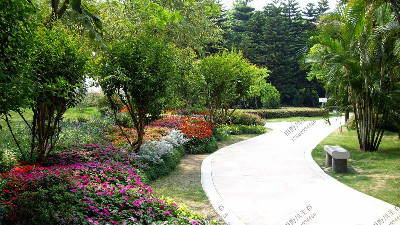 廣州文化公園花草養(yǎng)護(hù)案例 廣州文化公園花草養(yǎng)護(hù)案例
