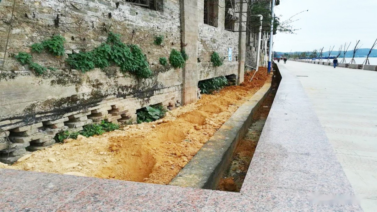 紫金縣秋香江河道河堤邊坡綠化工程 紫金縣秋香江河道河堤邊坡綠化工程