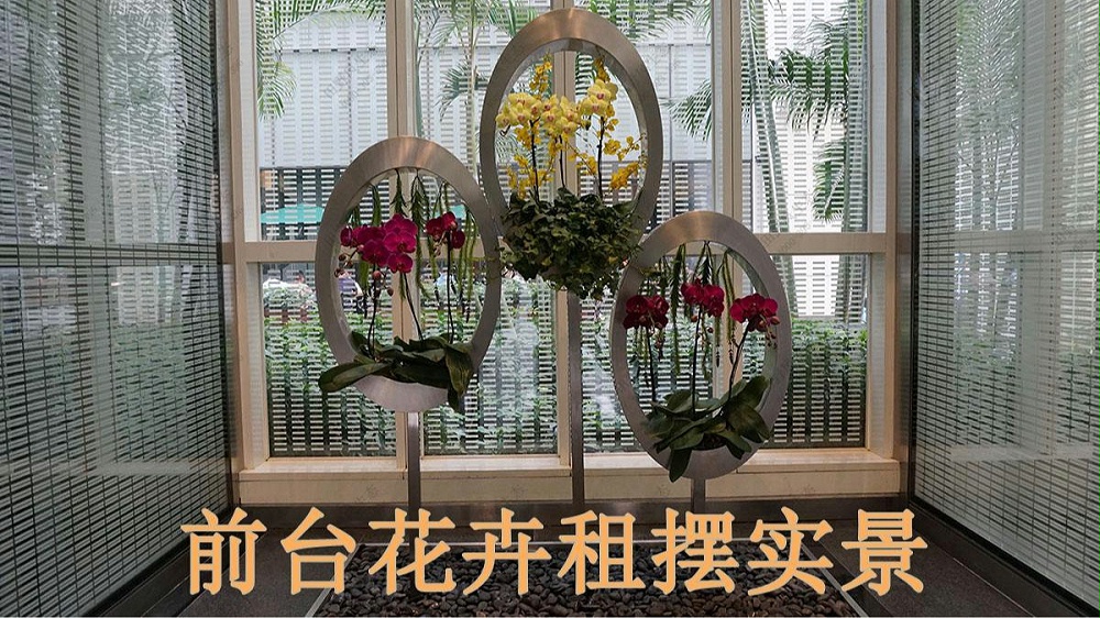 廣州保利國(guó)際廣場(chǎng)植物出租案例 廣州保利國(guó)際廣場(chǎng)植物出租案例