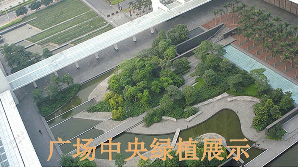 廣州保利國(guó)際廣場(chǎng)植物出租案例 廣州保利國(guó)際廣場(chǎng)植物出租案例