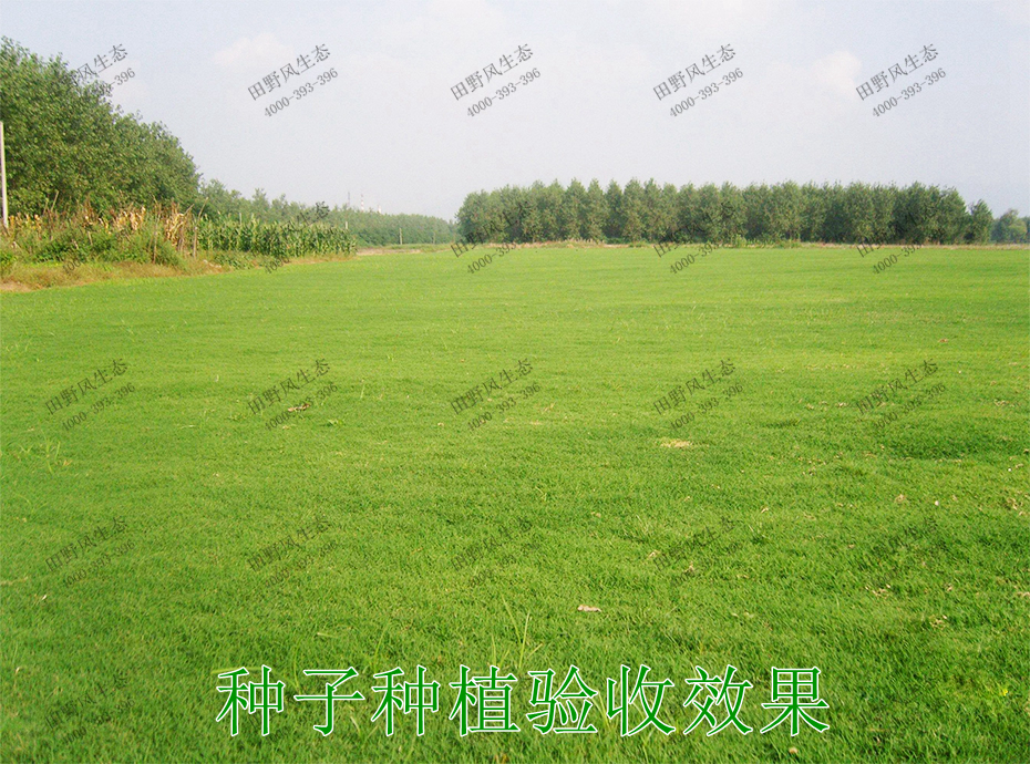 2種子種植驗(yàn)收效果