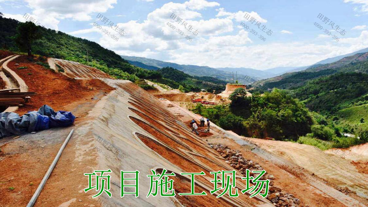 邊坡修復(fù) 邊坡修復(fù)