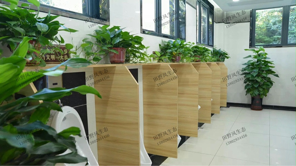 廣州廣商中心大廈盆栽租賃案例 廣州廣商中心大廈盆栽租賃案例