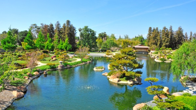 綠化工程施工需要注意什么？田野風為您詳細解答