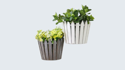 辦公室適合養(yǎng)什么植物？且聽田野風娓娓道來