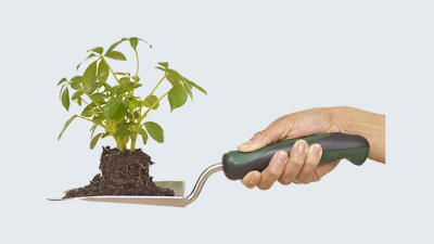 田野風為你指南，辦公室綠植租賃哪家好？