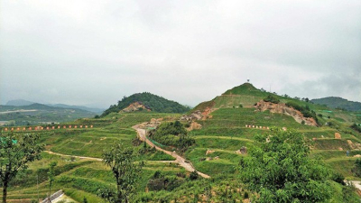 邊坡綠化工程是什么？田野風您詳細解答