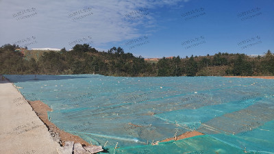 邊坡復(fù)綠蓋無紡布 邊坡復(fù)綠蓋無紡布