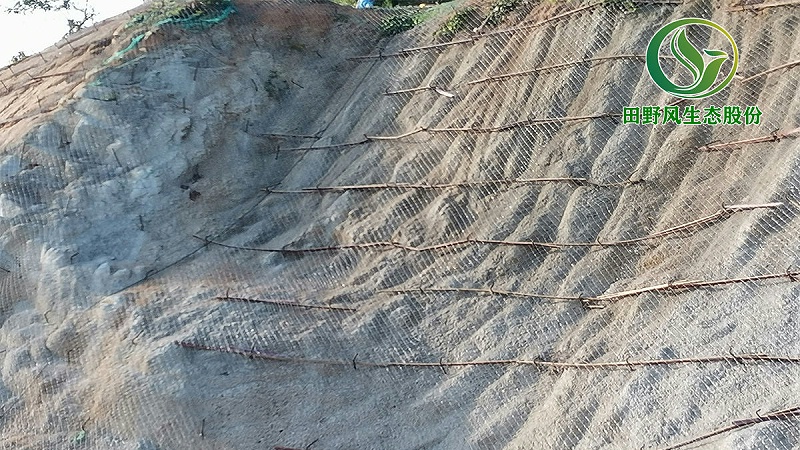 礦山復(fù)綠,生態(tài)修復(fù) 礦山復(fù)綠,生態(tài)修復(fù)