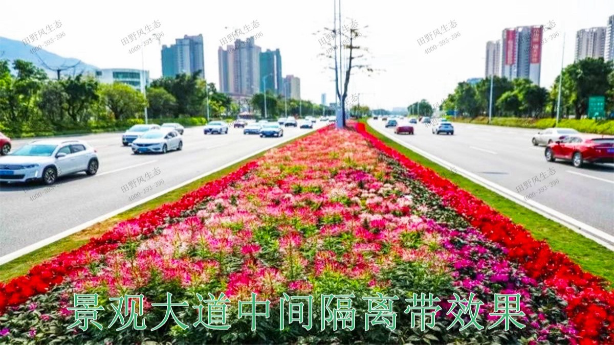 廣東河源國道綠化美化市政工程 廣東河源國道綠化美化市政工程