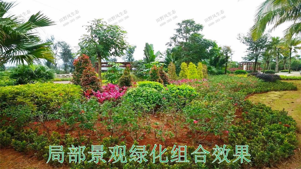 廣東河源國道綠化美化市政工程 廣東河源國道綠化美化市政工程