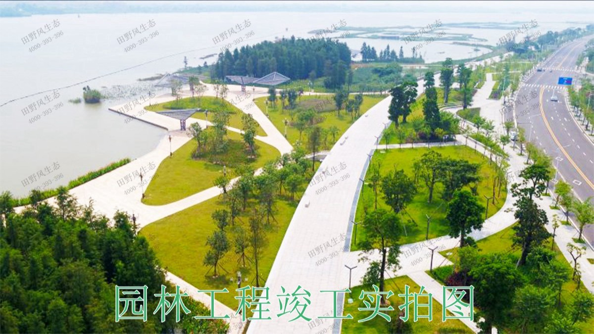 廣東河源紫金省道綠化美化市政工程 廣東河源紫金省道綠化美化市政工程