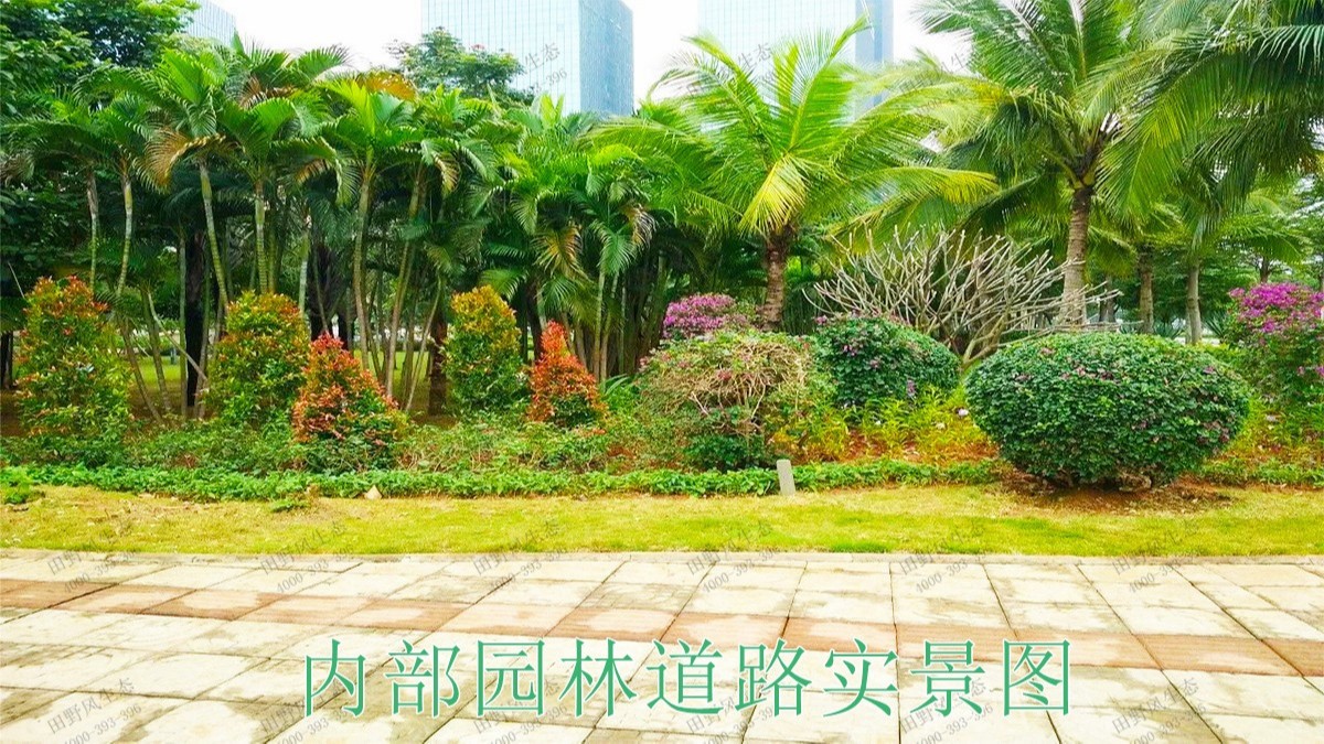 廣東河源紫金省道綠化美化市政工程 廣東河源紫金省道綠化美化市政工程