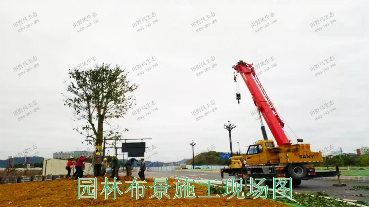 廣東梅州梅江區(qū)綠化美化工程 廣東梅州梅江區(qū)綠化美化工程