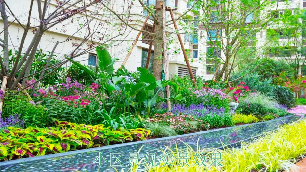 廣東湛江保利地產(chǎn)園林景觀工程 廣東湛江保利地產(chǎn)園林景觀工程