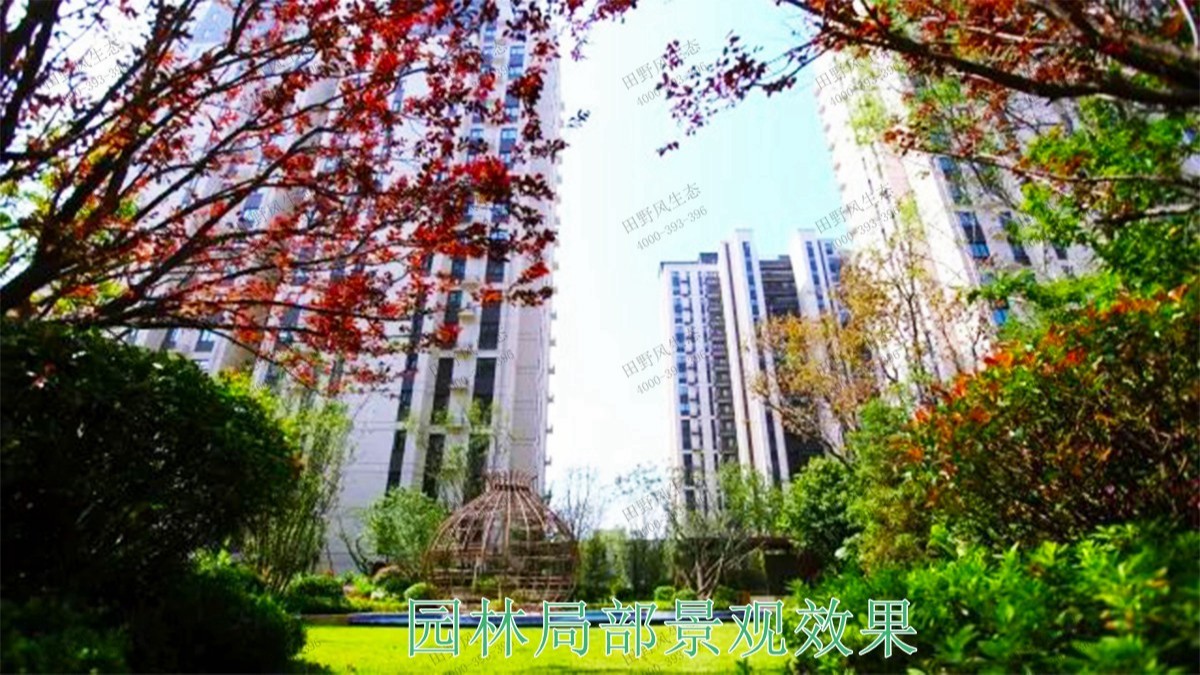 廣東湛江保利地產(chǎn)園林景觀工程 廣東湛江保利地產(chǎn)園林景觀工程