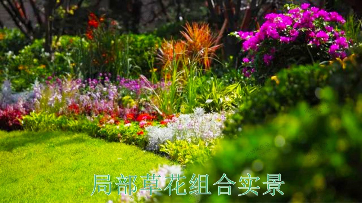 南昌龍湖地產(chǎn)園林景觀工程 南昌龍湖地產(chǎn)園林景觀工程