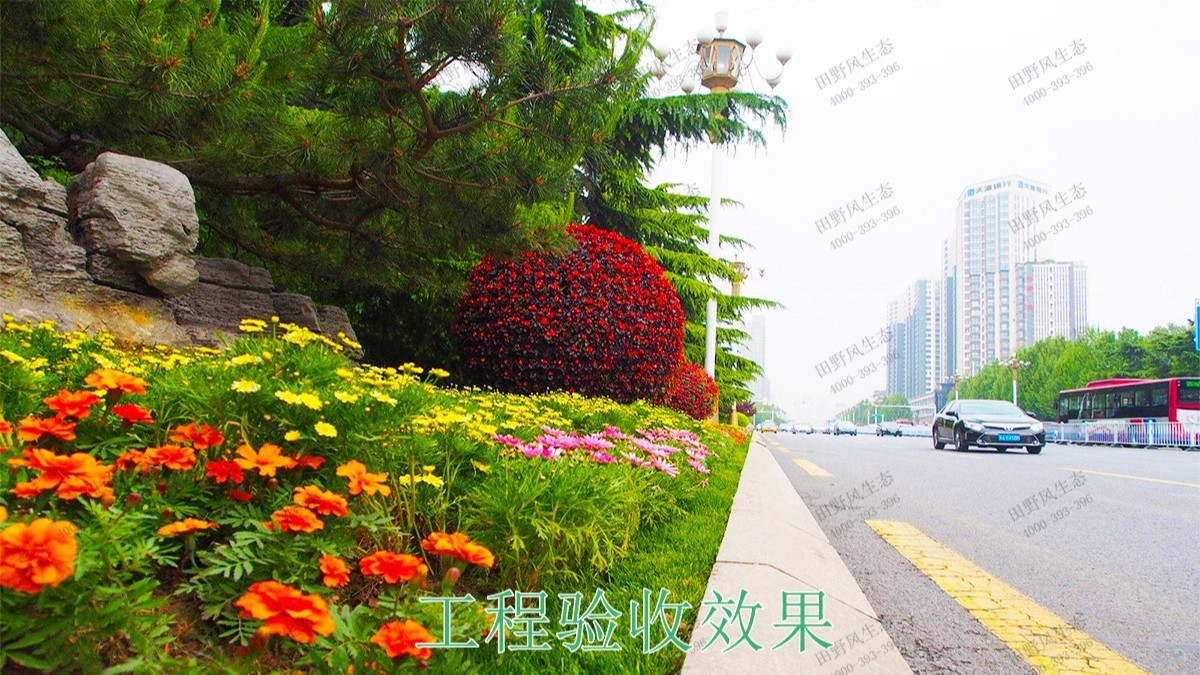 贛州全南公路市政道路工程 贛州全南公路市政道路工程