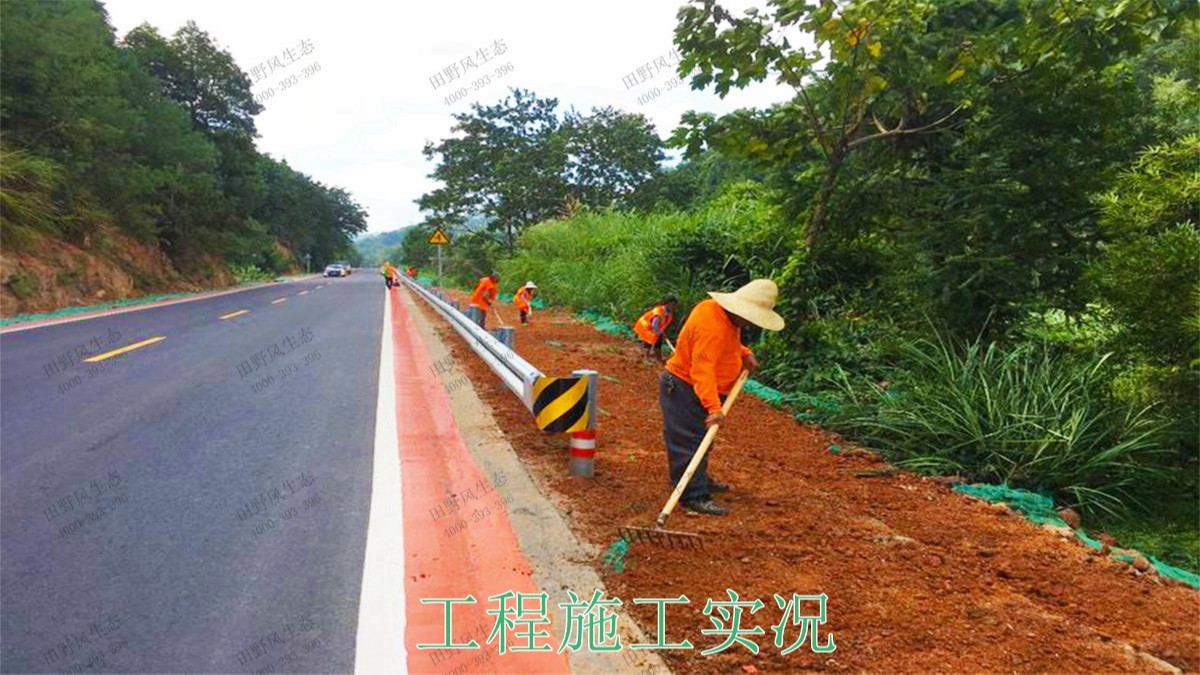 贛州全南公路市政道路工程 贛州全南公路市政道路工程