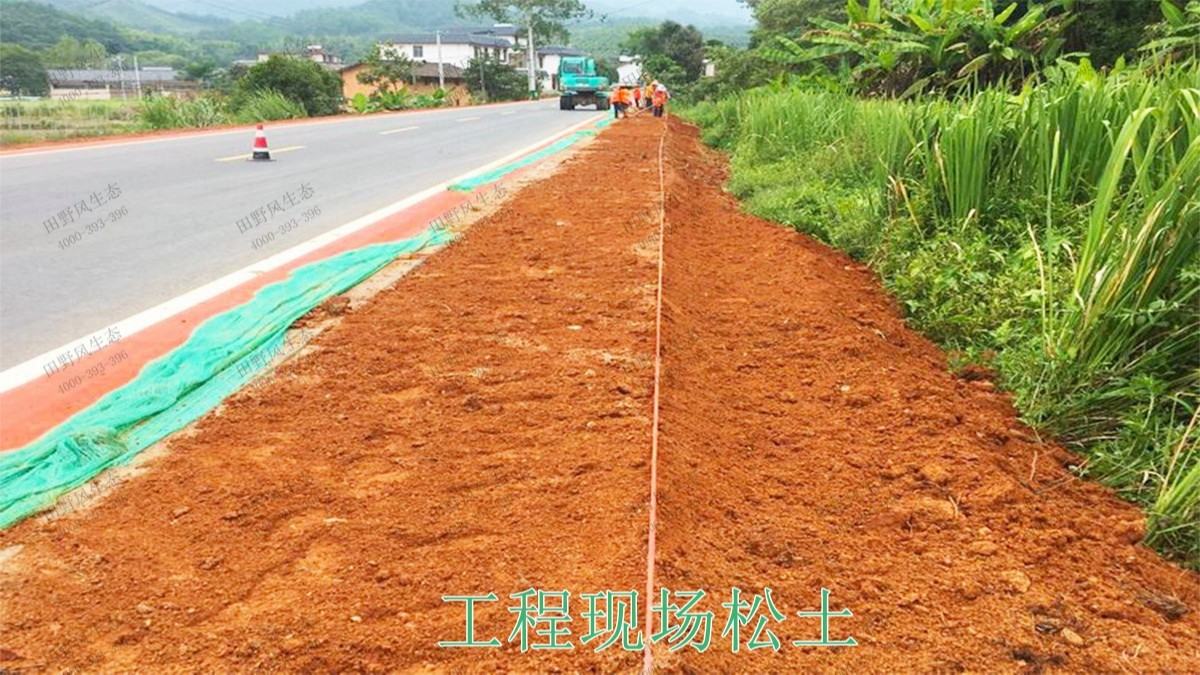 贛州全南公路市政道路工程 贛州全南公路市政道路工程