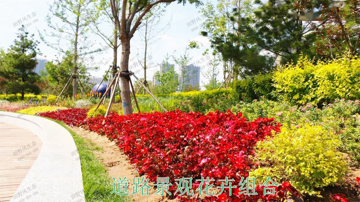 火炬開發(fā)區(qū)景觀路市政景觀工程 火炬開發(fā)區(qū)景觀路市政景觀工程