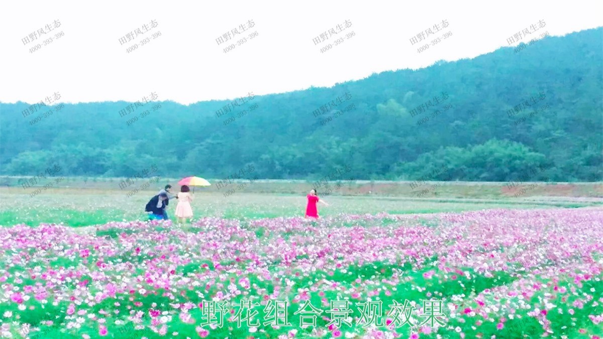 新興縣美麗鄉(xiāng)村工程項(xiàng)目 新興縣美麗鄉(xiāng)村工程項(xiàng)目