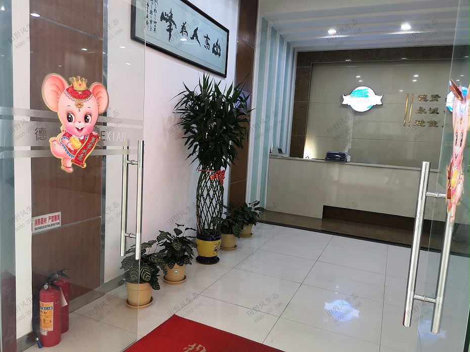 植物租賃，綠植租擺