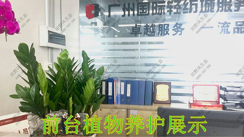 廣東國(guó)際輕紡城花卉養(yǎng)護(hù)案例 廣東國(guó)際輕紡城花卉養(yǎng)護(hù)案例