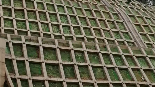 復(fù)綠后效果圖 復(fù)綠后效果圖