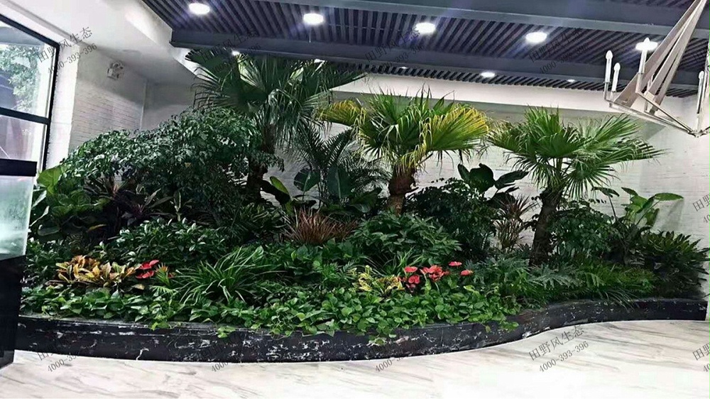 前門綠植租擺 前門綠植租擺