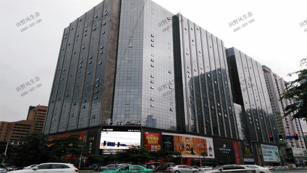 廣州豐興廣場綠植租擺案例 廣州豐興廣場綠植租擺案例