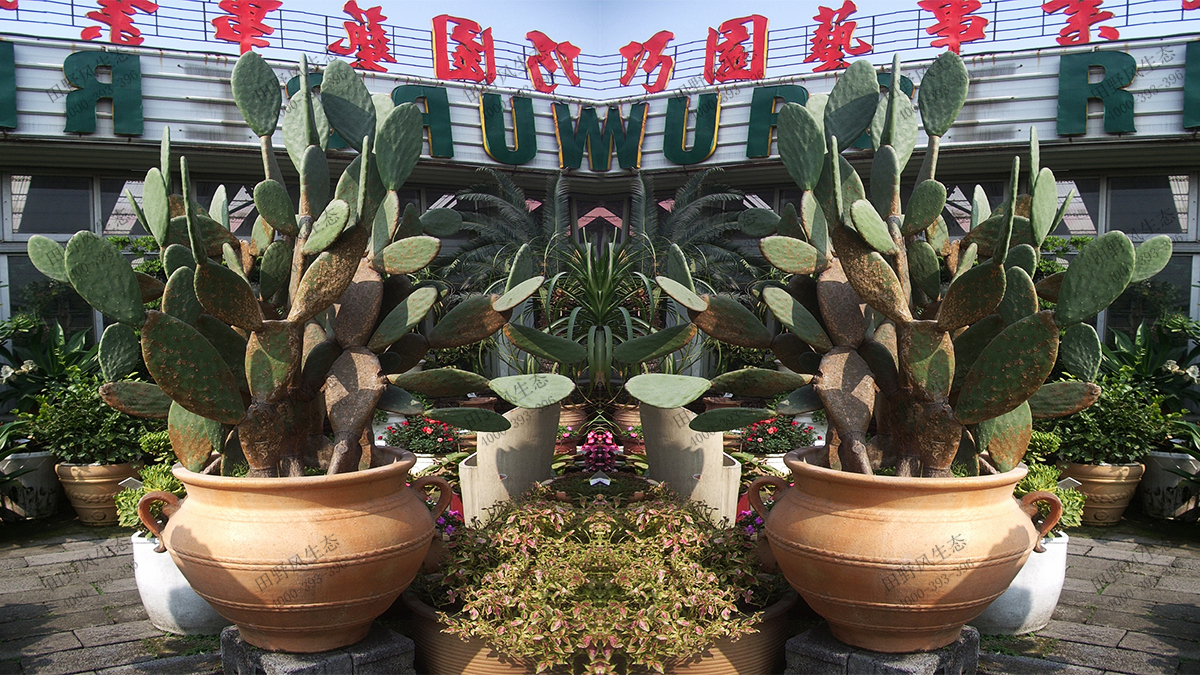 17權(quán)掌天下