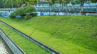 田野風(fēng)告知你草坪種植需要注意哪些？