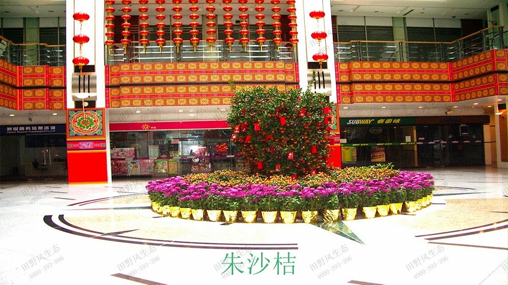 廣州花園酒店綠化綠植養(yǎng)護(hù)維護(hù) 廣州花園酒店綠化綠植養(yǎng)護(hù)維護(hù)