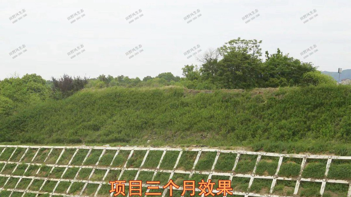 .項目三個月效果 .項目三個月效果