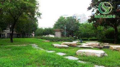 在特定時期草坪綠化，如何防除特殊雜草