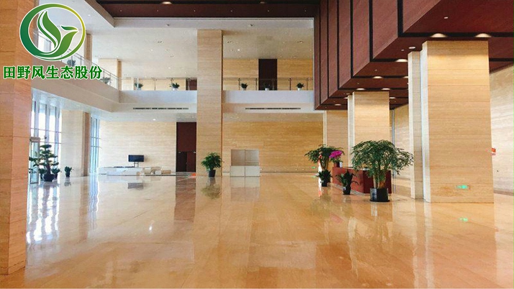 會(huì)展中心內(nèi)部綠植租擺實(shí)景 會(huì)展中心內(nèi)部綠植租擺實(shí)景