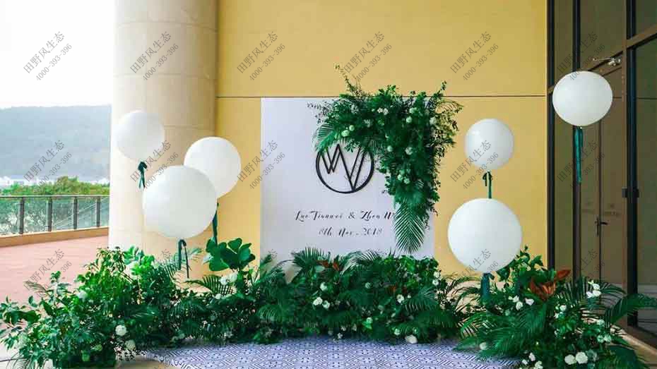 綠植出租，綠植租擺