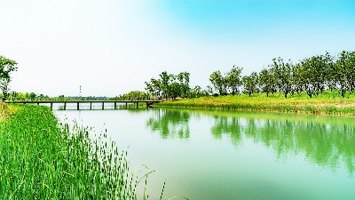景觀生態(tài)學(xué)，自然保護(hù)與生態(tài)恢復(fù)三者間的關(guān)系