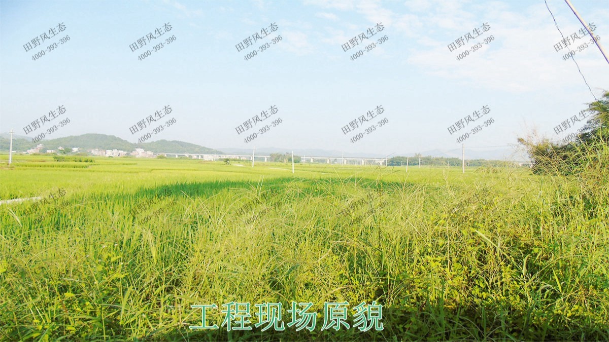 廣西梧州思良江休閑農(nóng)業(yè)生態(tài)園花海工程 廣西梧州思良江休閑農(nóng)業(yè)生態(tài)園花海工程