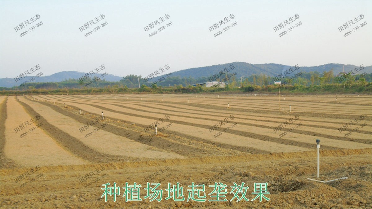 廣西梧州思良江休閑農(nóng)業(yè)生態(tài)園花海工程 廣西梧州思良江休閑農(nóng)業(yè)生態(tài)園花海工程