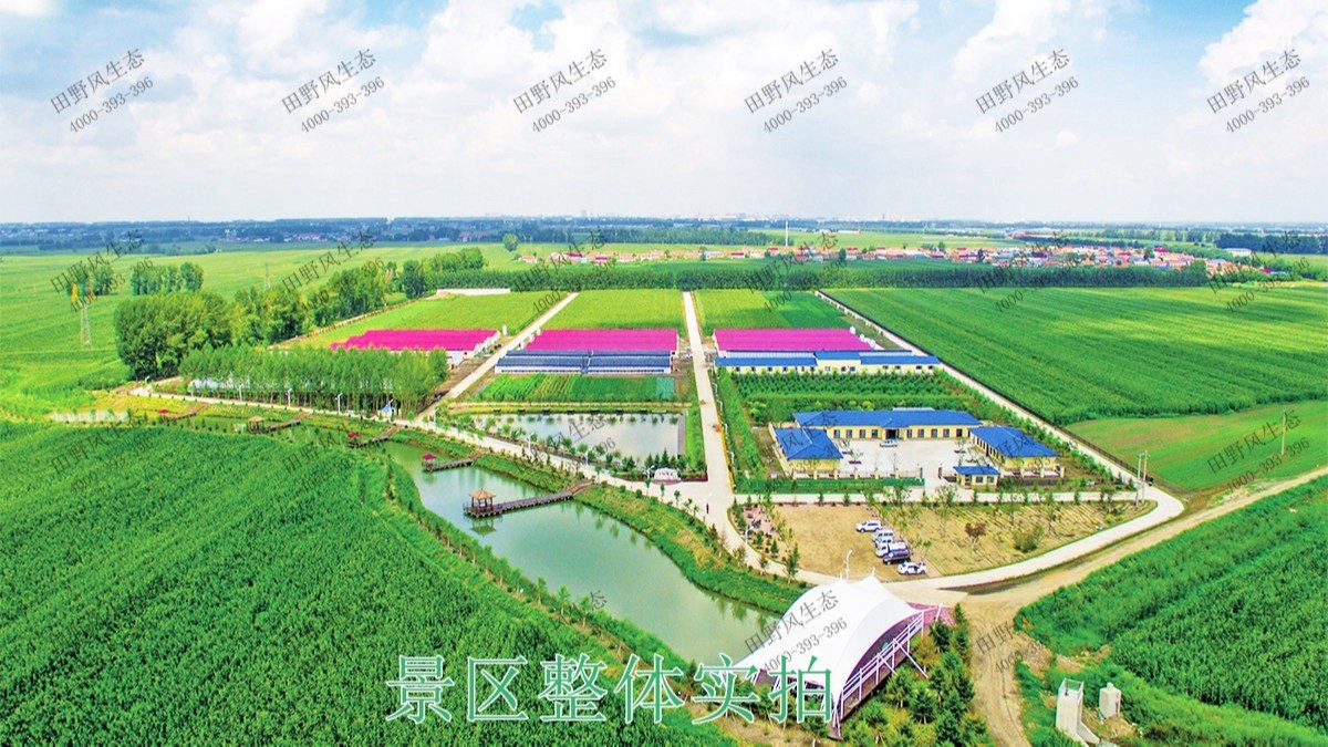 廣西梧州思良江休閑農(nóng)業(yè)生態(tài)園花海工程 廣西梧州思良江休閑農(nóng)業(yè)生態(tài)園花海工程