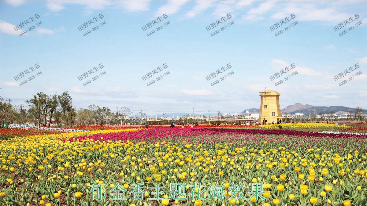 廣州番禺農(nóng)業(yè)大觀園景觀花海 廣州番禺農(nóng)業(yè)大觀園景觀花海