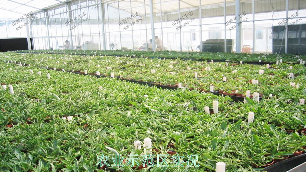 廣州從化美麗鄉(xiāng)村工程 廣州從化美麗鄉(xiāng)村工程